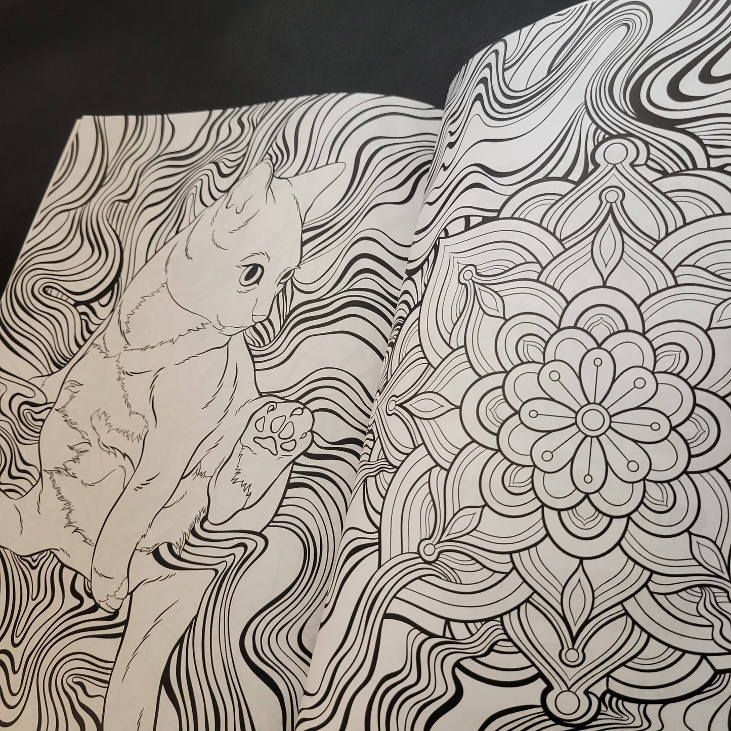 Psychedelic Cats Coloring Book