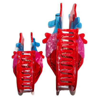 Anatomical Heart Mega Claw