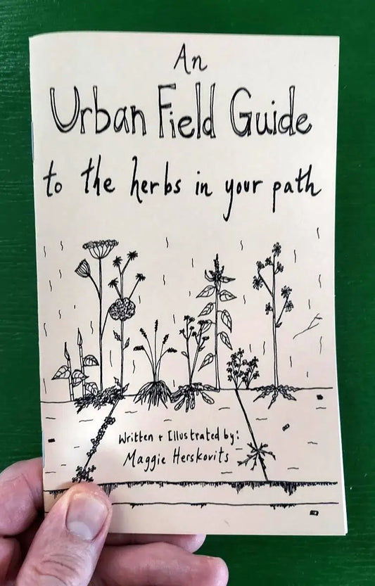 Urban Field Guide To the Herbs in Your Path (Zine)