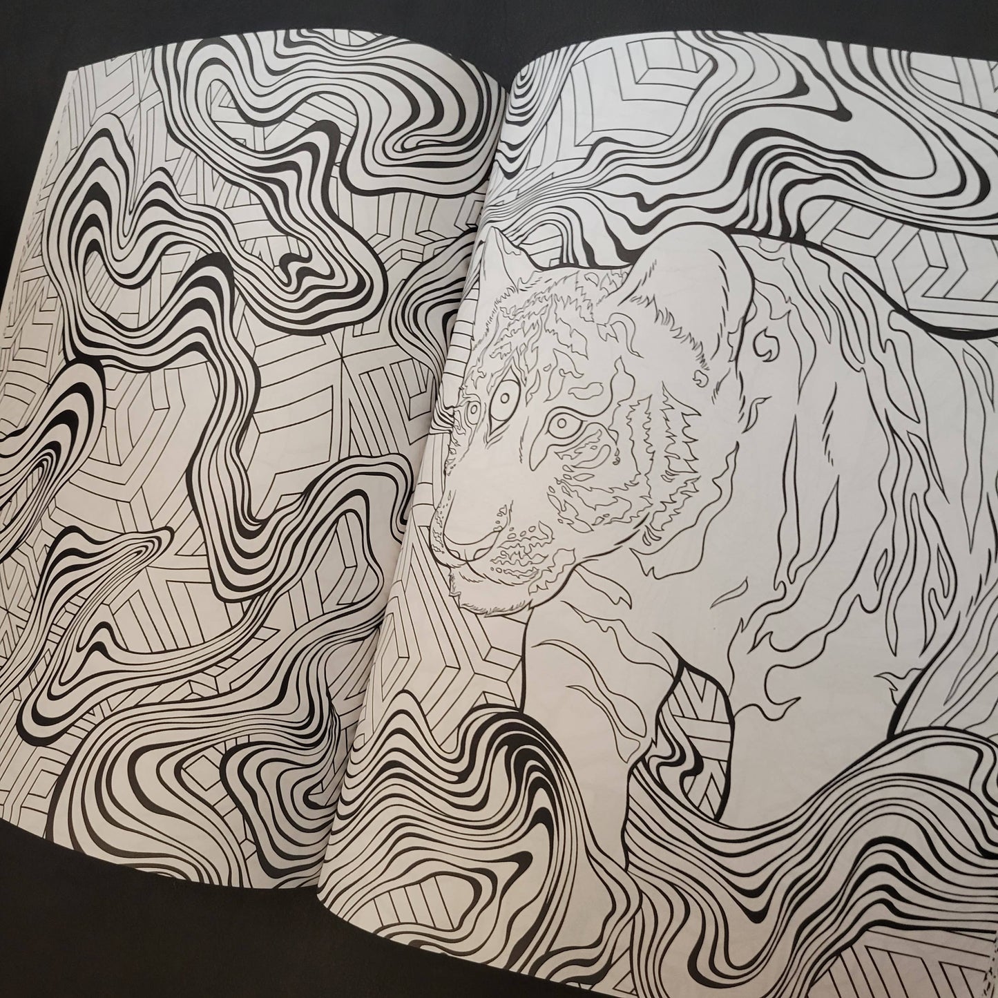 Psychedelic Cats Coloring Book