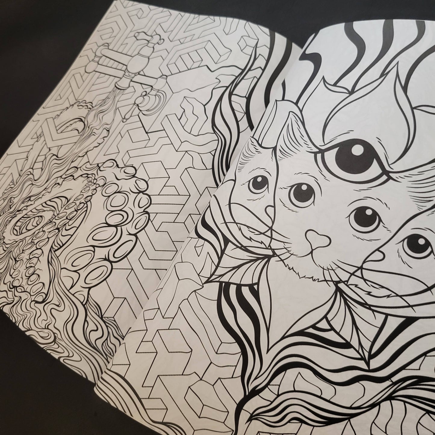 Psychedelic Cats Coloring Book